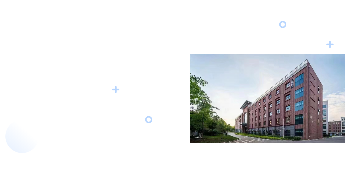 项目优势图1